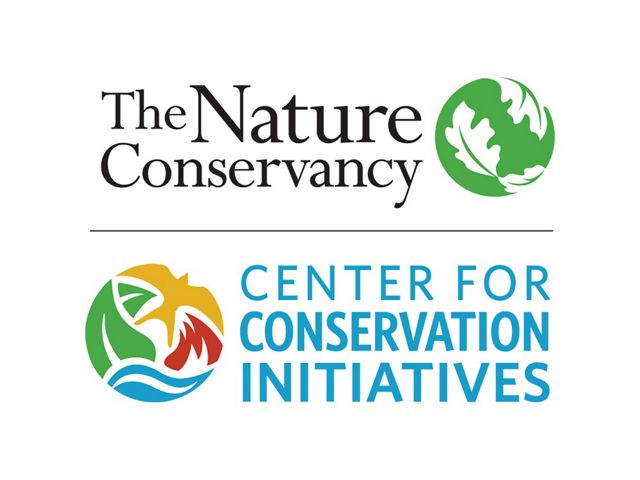 Wetland Restoration