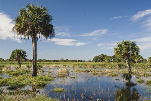 Environmental Education