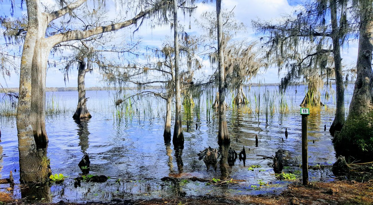 Ecology Florida